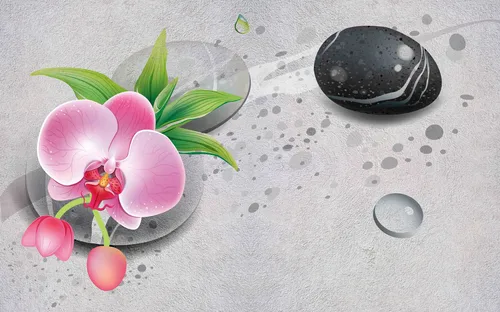 цветок, камень, капли, серые, розовые