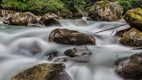вода, камни, лес, зеленые, природа, белые