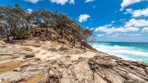 бежевые, синие, камни, деревья, море