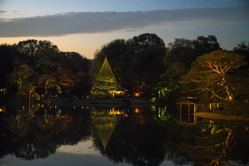 вечер, ночь, япония, озеро, парк, черные, желтые