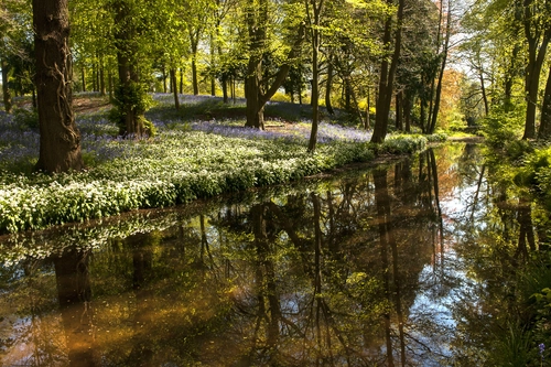 река, берег, природа, лес, весна, коричневые, зеленые