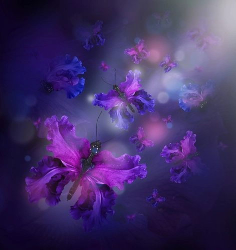 цветы, бабочка, насекомые, природа, синие, розовые, черные