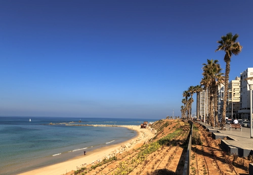 пальма, пляж, город, отдых, коричневые, желтые, синие