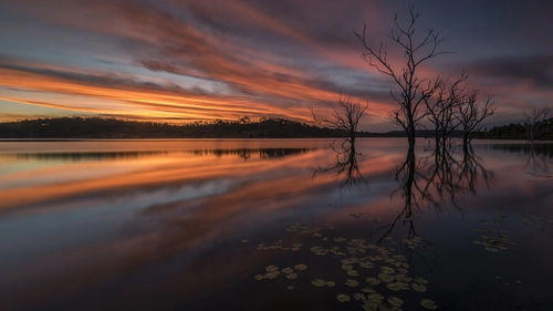 деревья, озеро, закат, желтые, красные, фиолетовые