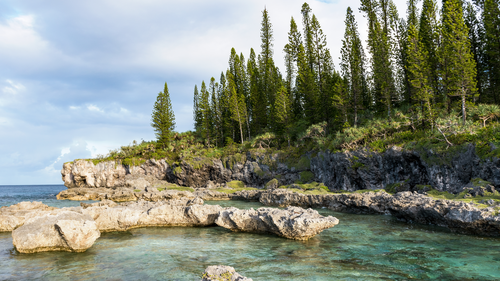 берег, скала, лес, деревья, коричневые, зеленые
