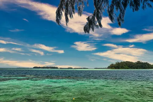 море, вода, океан, деревья, зелень, растительность, небо, облака, пейзаж, голубые, зеленые