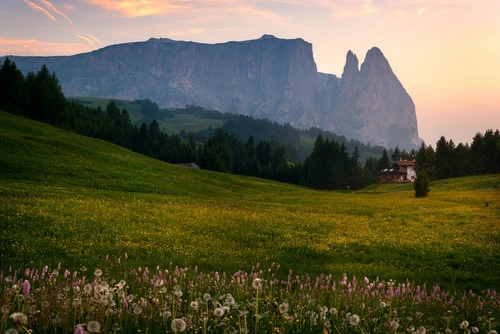 цветы, поле, скала, италия, зеленые, бежевые, коричневые