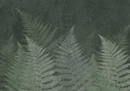 Тропики, Папоротник, Кустарник, Листья