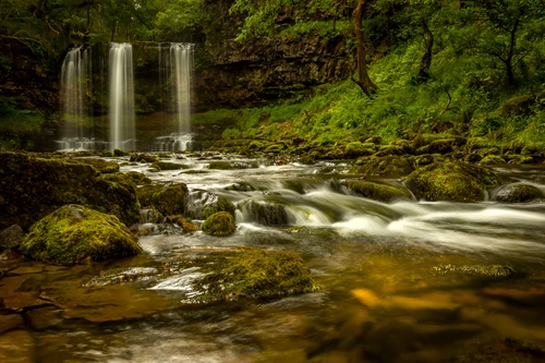 водопад, ручей, природа, лес, деревья, коричневые, зеленые