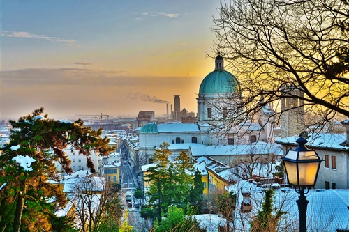 деревья, город, архитектура, желтые, черные, серые