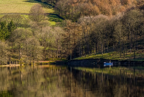 озеро, природа, лес, отражение, коричневые, зеленые