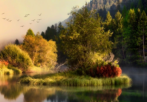 лес, кустарник, растительность, кусты, деревья, зелень, зеленые, оранжевые, река, вода, отражение, туман, птицы, осень, серые