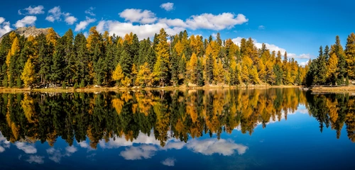 река, лес, природа, зеленые, панорама, коричневые