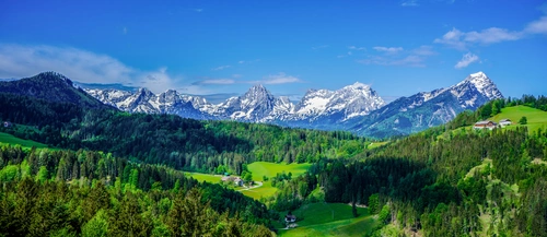 лес, горы, панорама, зеленые, синие, природа